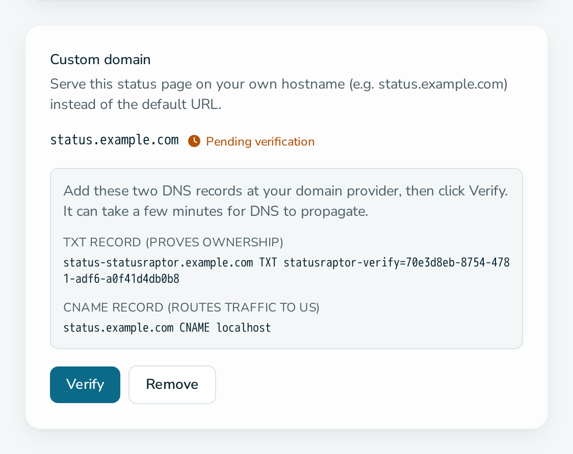 Custom domain card waiting for DNS verification