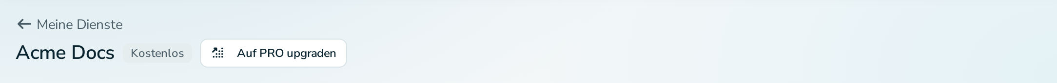 Kopfbereich eines Dienstes mit der Schaltfläche „Auf PRO upgraden“