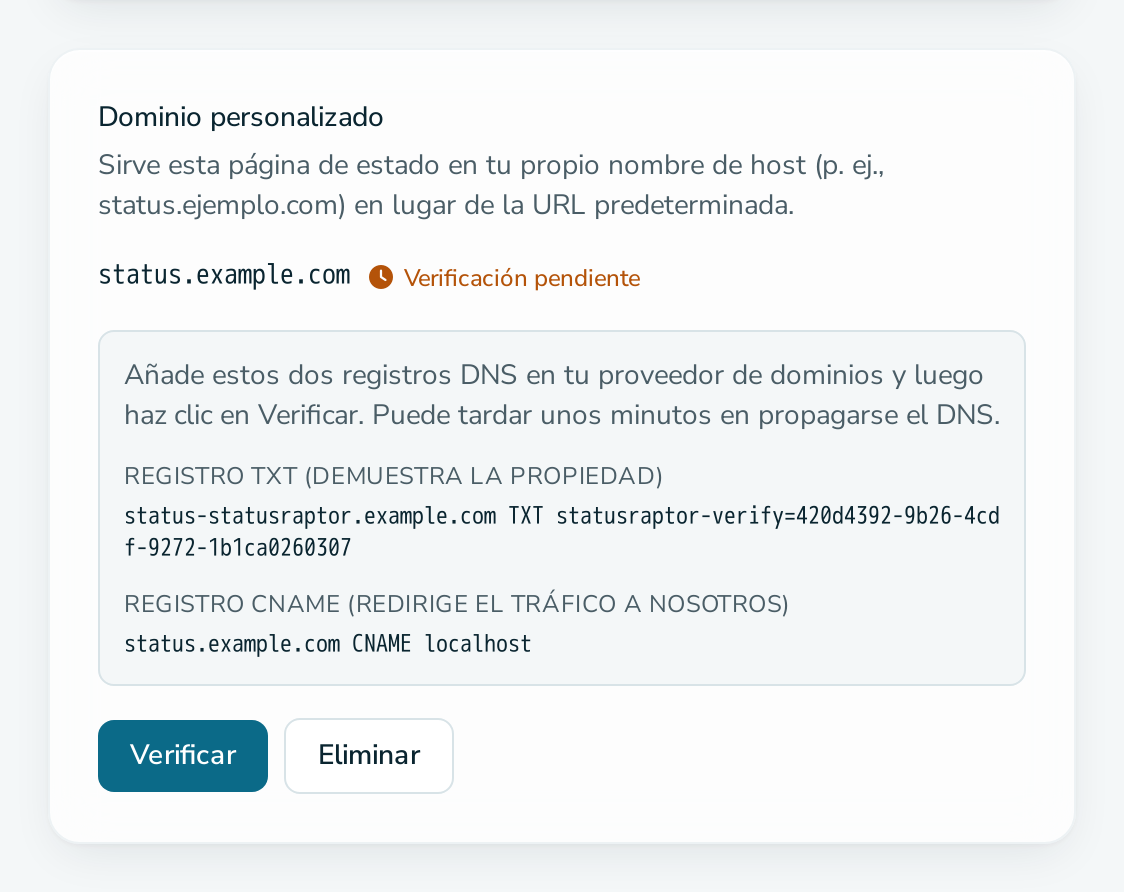 Tarjeta «Dominio personalizado» a la espera de la verificación DNS
