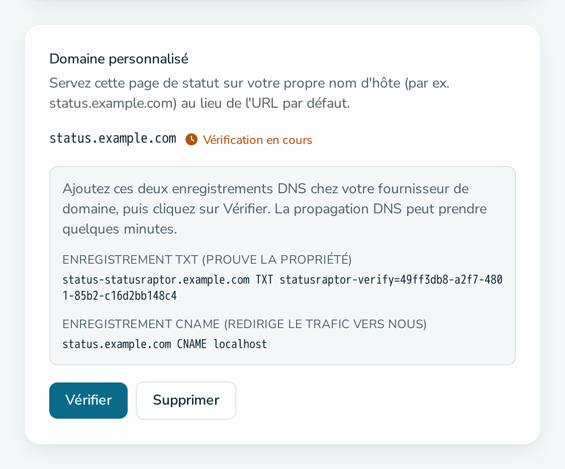 Carte « Domaine personnalisé » en attente de la vérification DNS