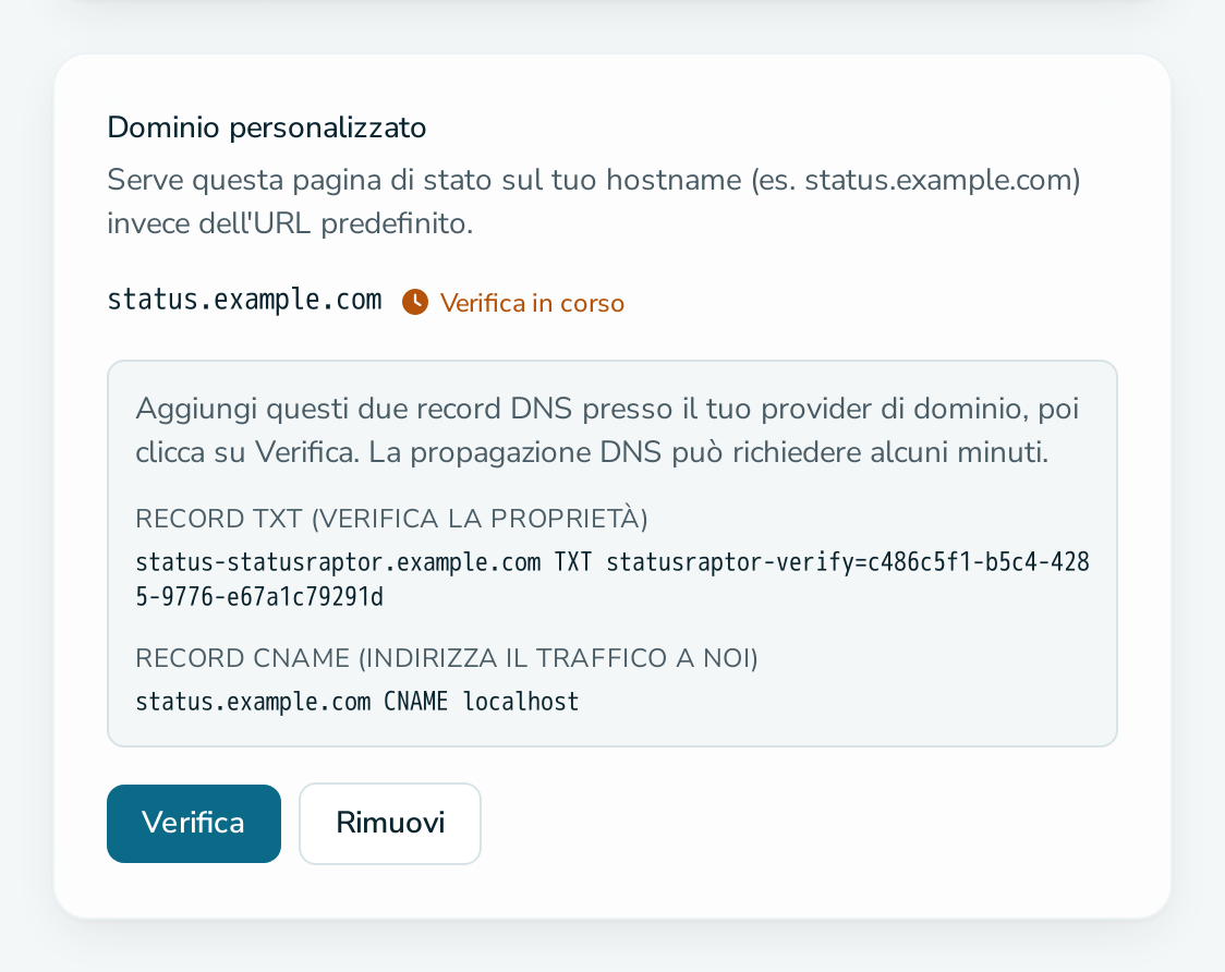 Scheda «Dominio personalizzato» in attesa della verifica DNS