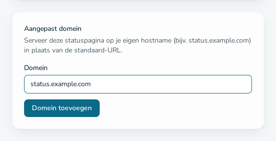 Kaart „Aangepast domein“ met een ingevoerde hostnaam