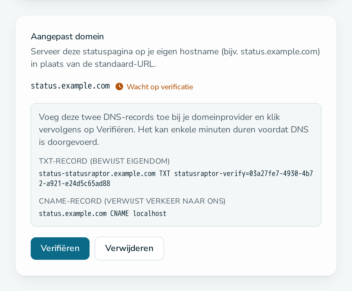 Kaart „Aangepast domein“ die wacht op DNS-verificatie