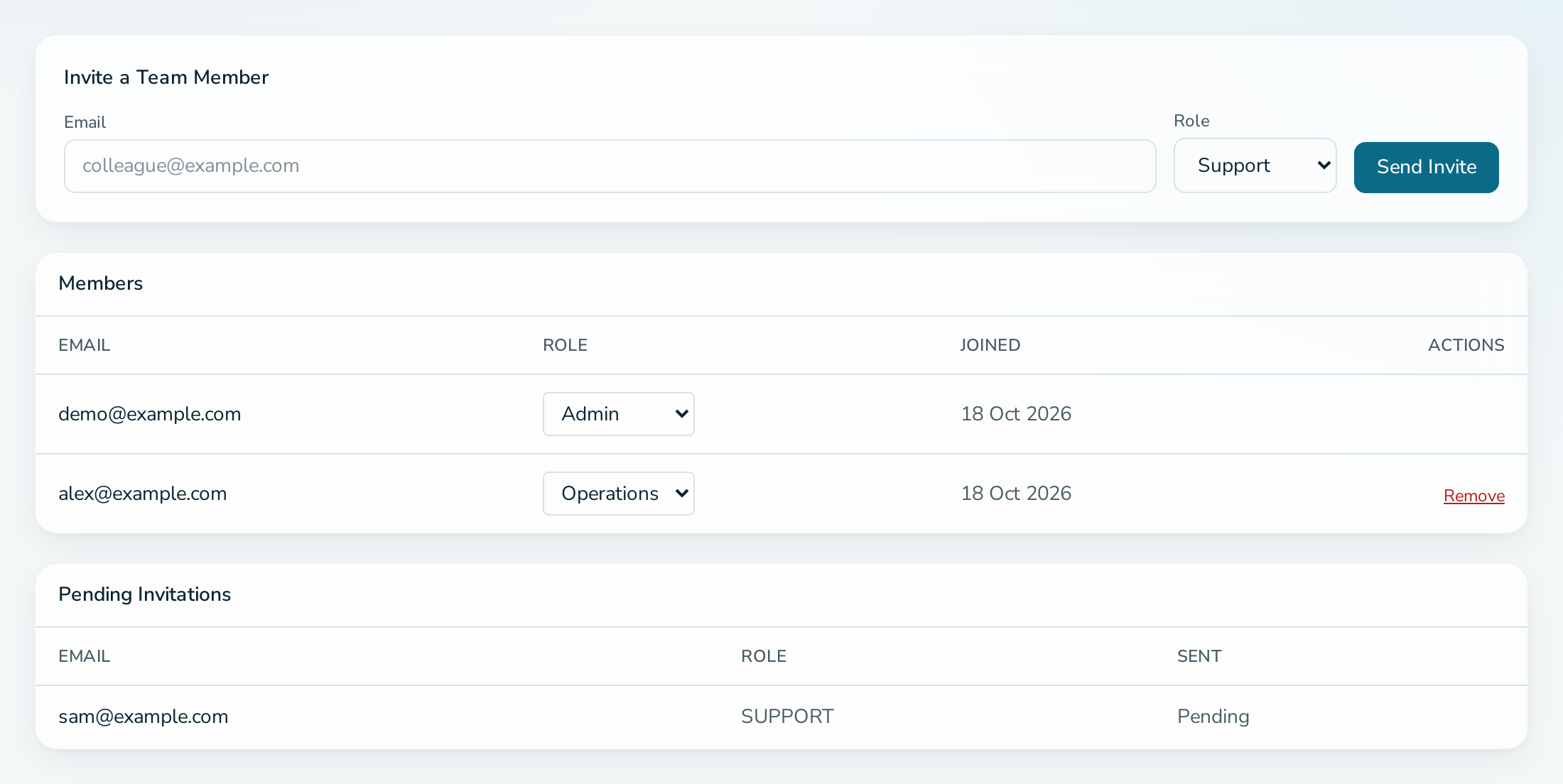 Team tab with members and the invite form